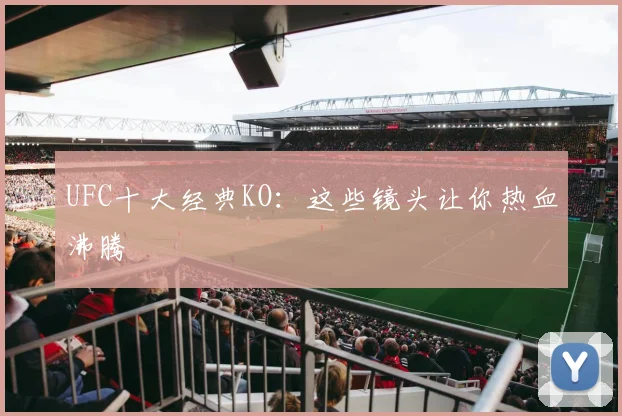 UFC十大经典KO:这些镜头让你热血沸腾
