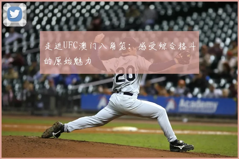 走进UFC澳门八角笼:感受综合格斗的原始魅力