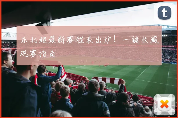 东北超最新赛程表出炉!一键收藏观赛指南