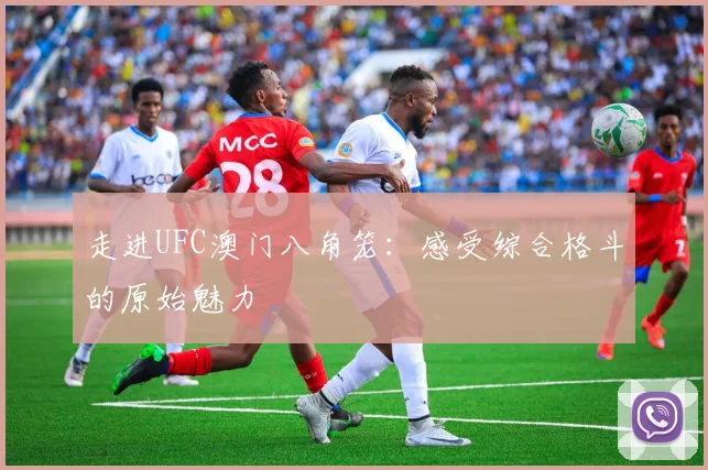 走进UFC澳门八角笼:感受综合格斗的原始魅力