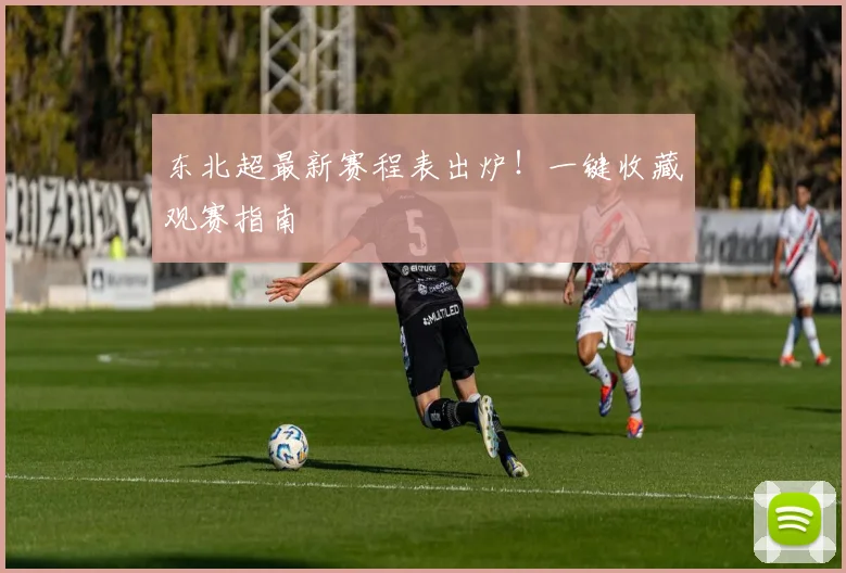 东北超最新赛程表出炉!一键收藏观赛指南