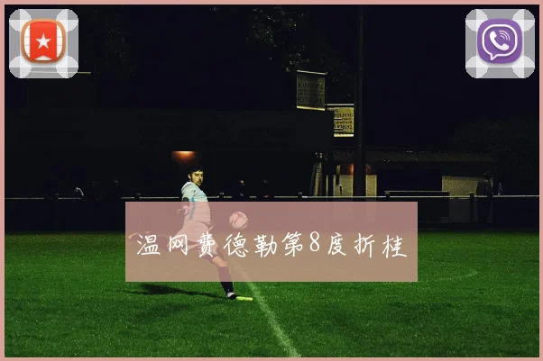 温网费德勒第8度折桂