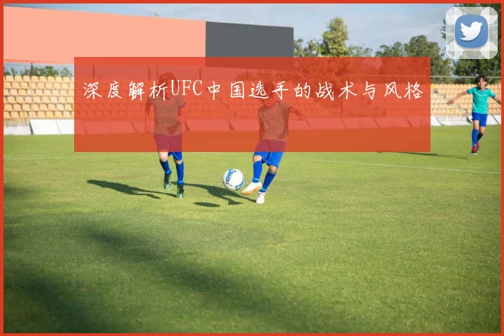 深度解析UFC中国选手的战术与风格