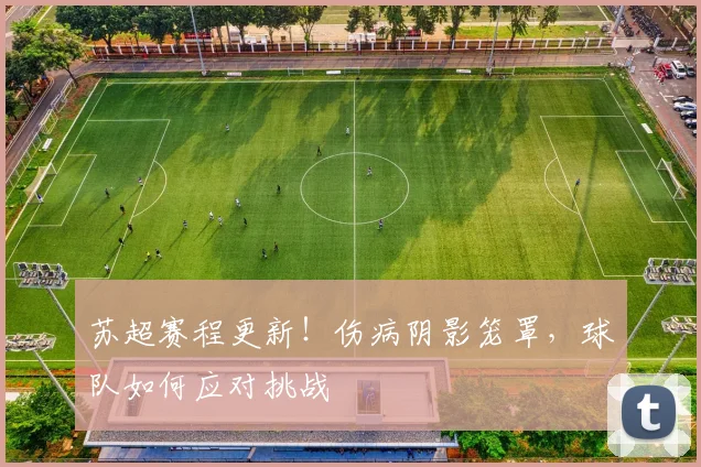 苏超赛程更新!伤病阴影笼罩,球队如何应对挑战