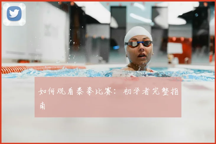 如何观看泰拳比赛:初学者完整指南